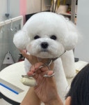 뭉치, 그루밍