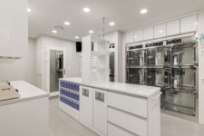 내마음의동물병원