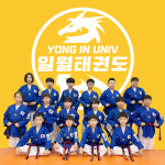 용인대일월태권도