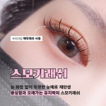 하울라스틱