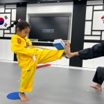 경희대형제태권도