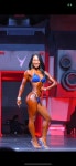 조은핏