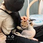 고양이미용사 임서영