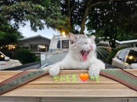 내려놓기펜션