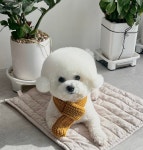 무거동 봄이네