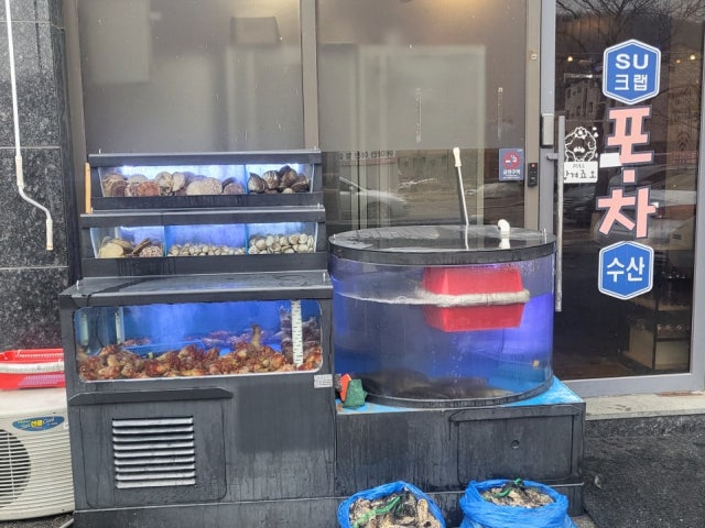 수포차