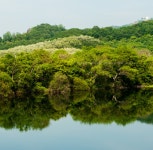 김현겸법무사사무소