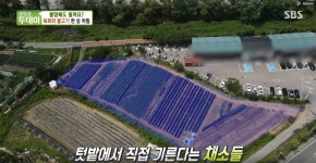 삼우정 정육식당