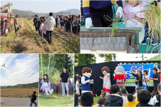 신현쌈지돈마을