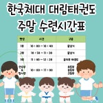 한국체대대림태권도장