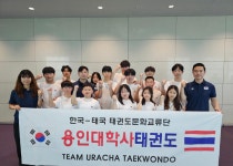 용인대학사태권도