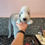 프롬유어독