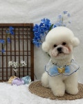 더, 포근