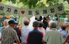 신현쌈지돈마을