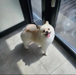 두리멍실