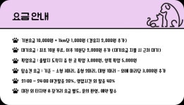 해피멍뭉 펫택시