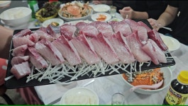바다향기회식당