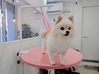 귀여븐댕