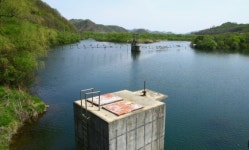 김현겸법무사사무소