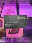 조은미트