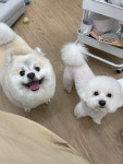 두리멍실