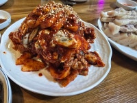 대전 칼국수 족발 쭈꾸미볶음 본점