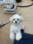 두리멍실