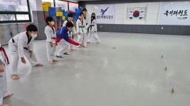 효민태권도장