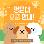 멍문대 애견유치원&애견호텔