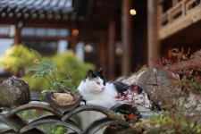 밀당책방