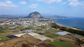 제주제비스테이