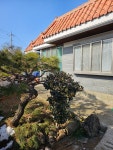 서흥상회, 고인돌문명 Tour