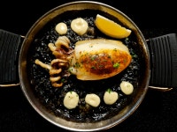 꼬시나 에스파냐