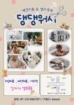 댕댕워시