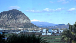 제주제비스테이