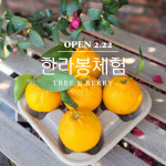 제주체험농장