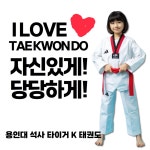 용인대 석사 타이거 K 태권도