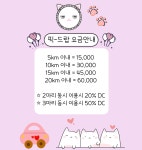 두부두부 캣묭실