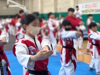 고려인성태권도