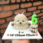 멍까루 강아지케이크 수제간식