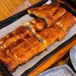 밀양비송민물장어점심맛집