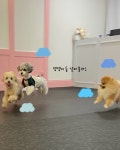댕구르댕