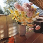 살구나무한옥민박