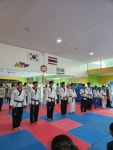 용인대학사태권도