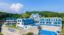 블루아라 풀빌라 펜션