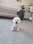 뷰티 몽
