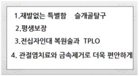 AVC동물메디컬센터