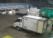 더밀스