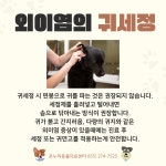 온누리동물의료센터