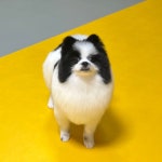 프롬유어독